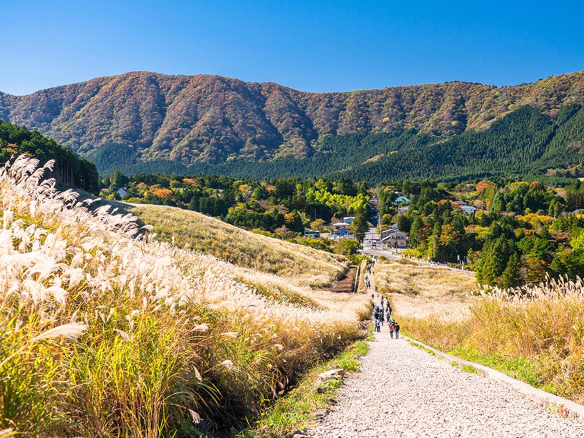 Hotel Morinokaze Hakone Sengokuhara Luaran gambar